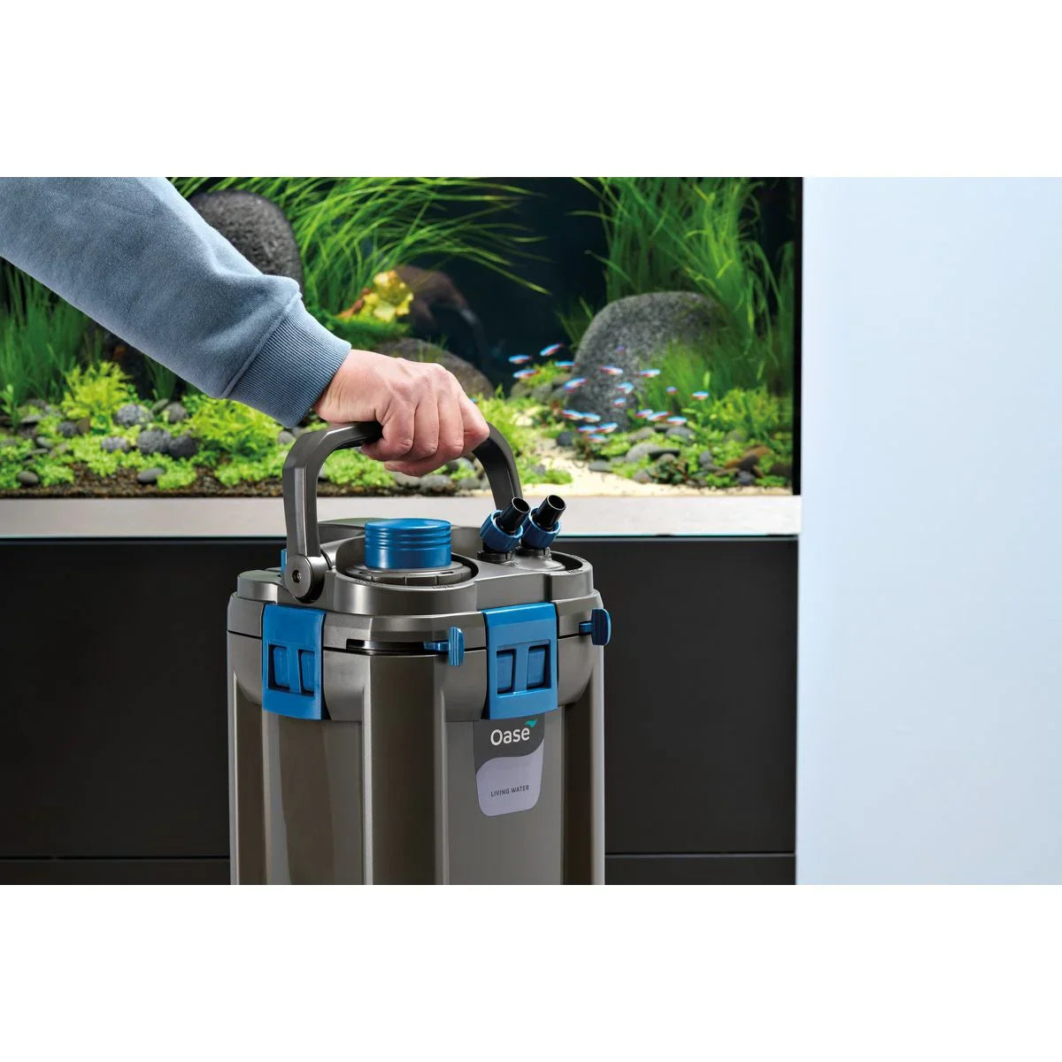 Oase BioMaster² Thermo 250 - Japankoi.net