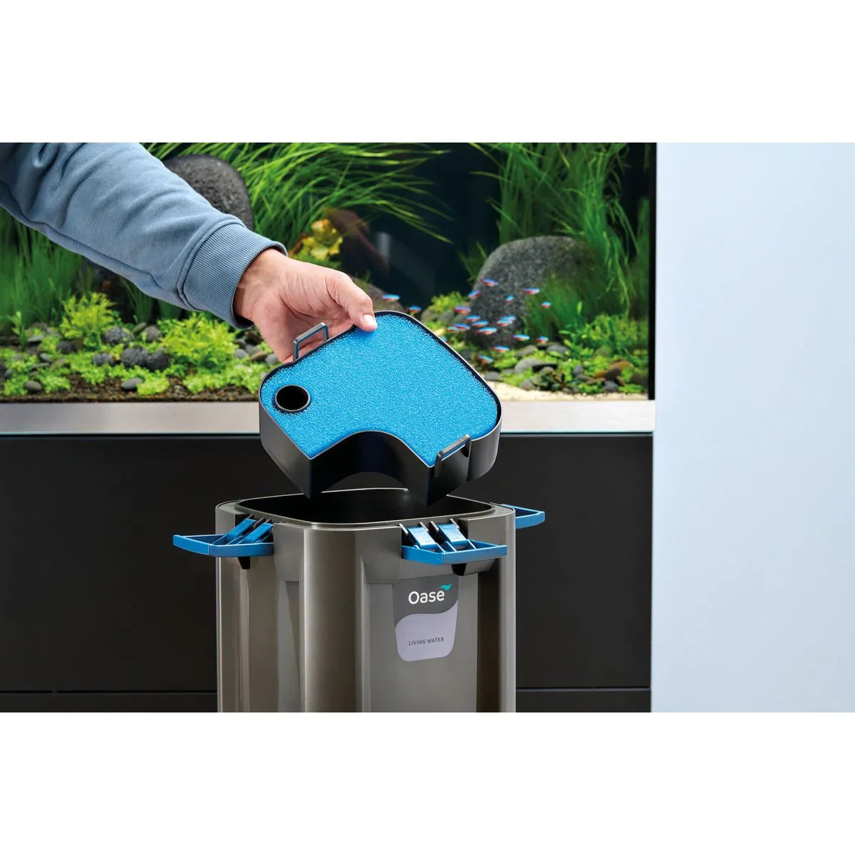 Oase BioMaster² Thermo 250 - Japankoi.net