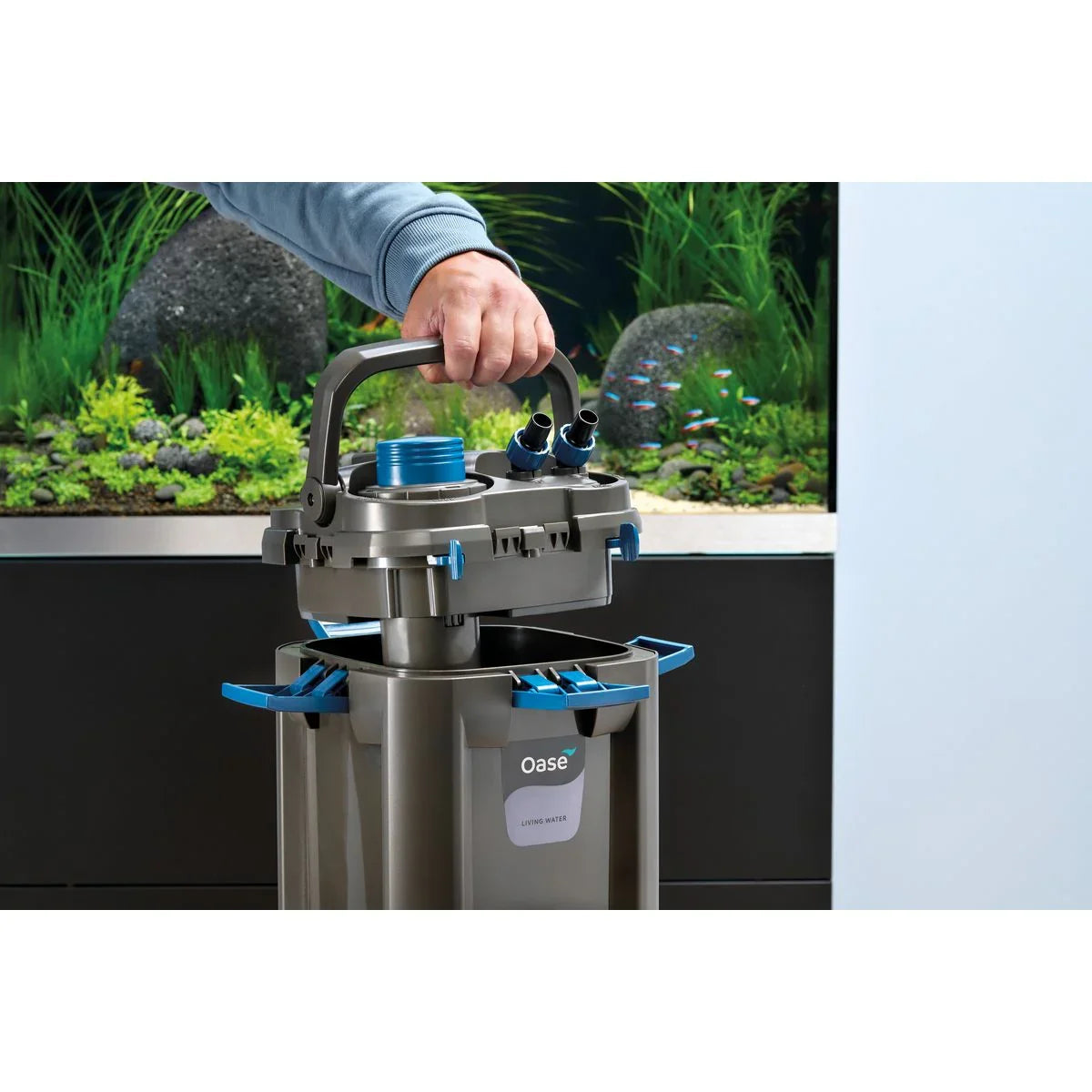 Oase BioMaster² Thermo 250 - Japankoi.net