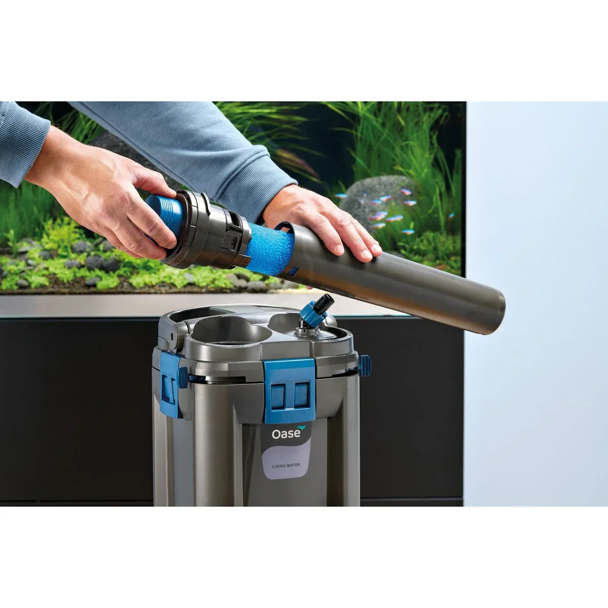 Oase BioMaster² Thermo 250 - Japankoi.net