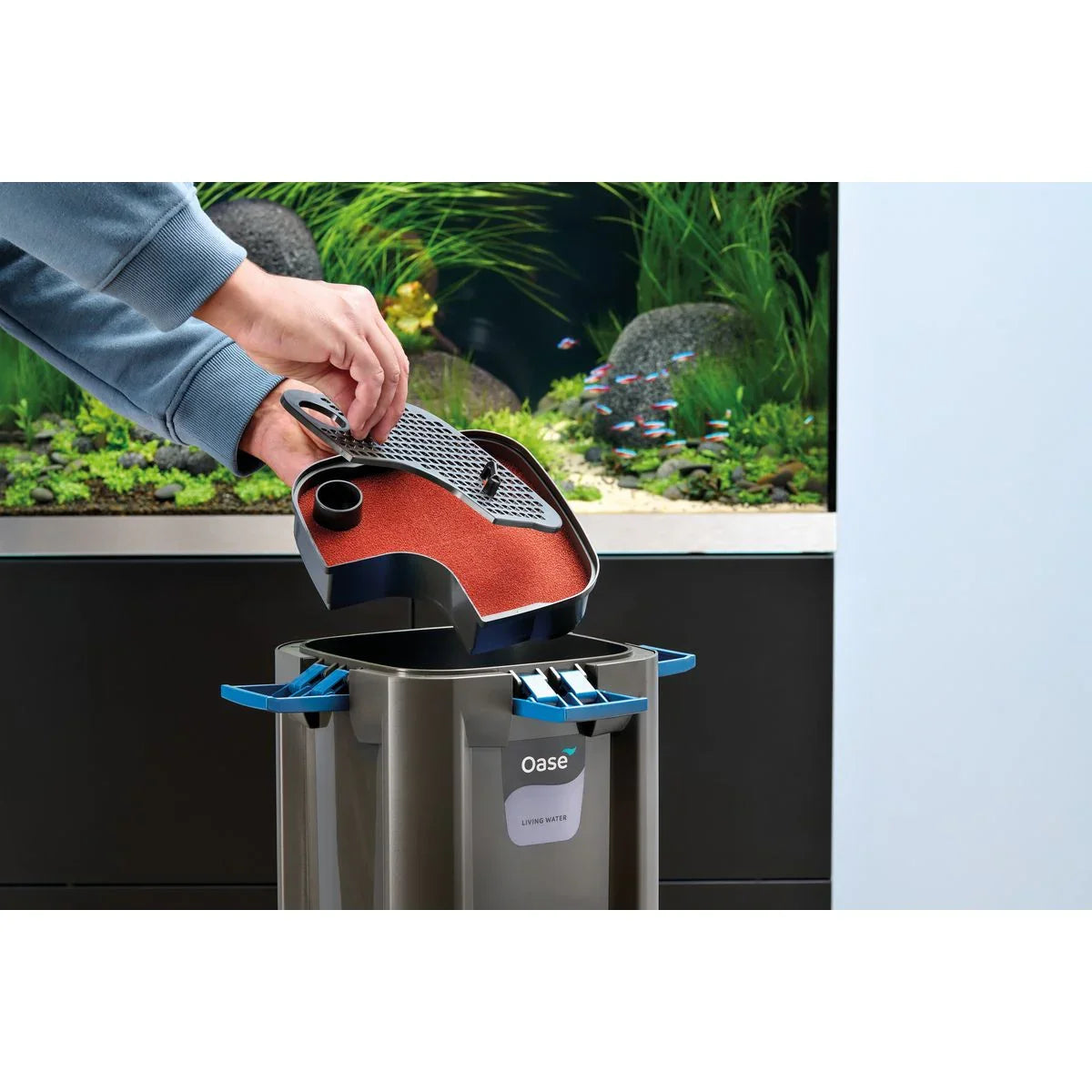 Oase BioMaster² Thermo 250 - Japankoi.net