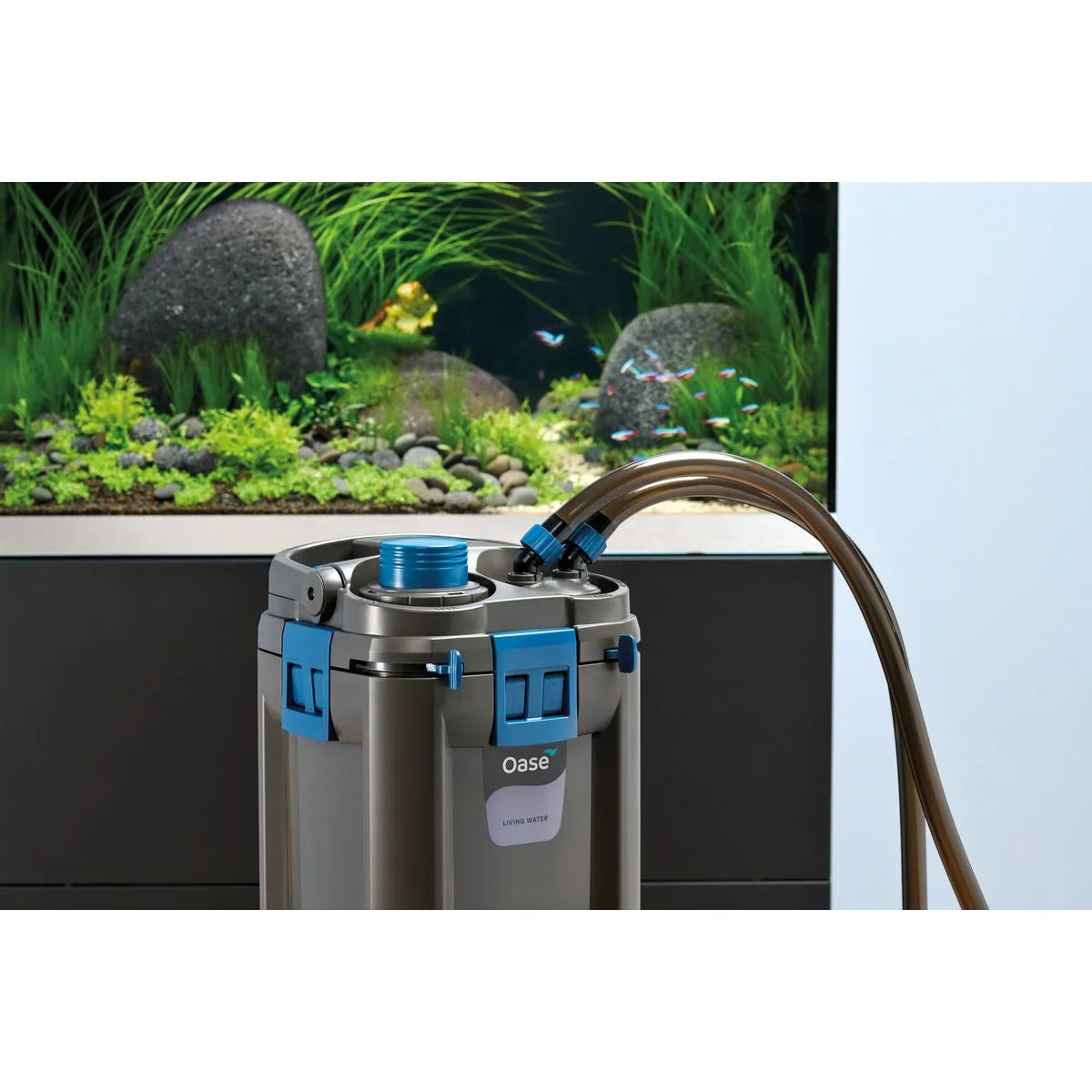 Oase BioMaster² Thermo 250 - Japankoi.net