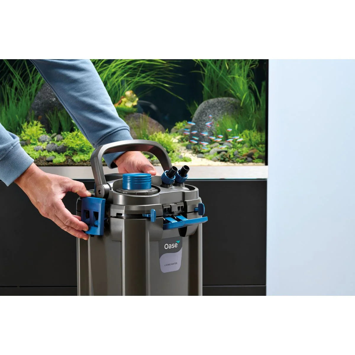 Oase BioMaster² Thermo 250 - Japankoi.net