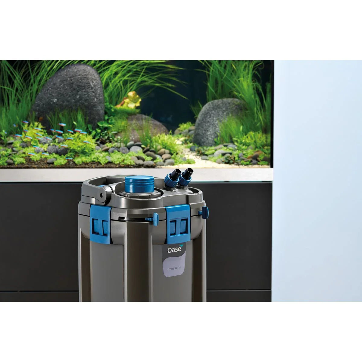 Oase BioMaster² Thermo 250 - Japankoi.net