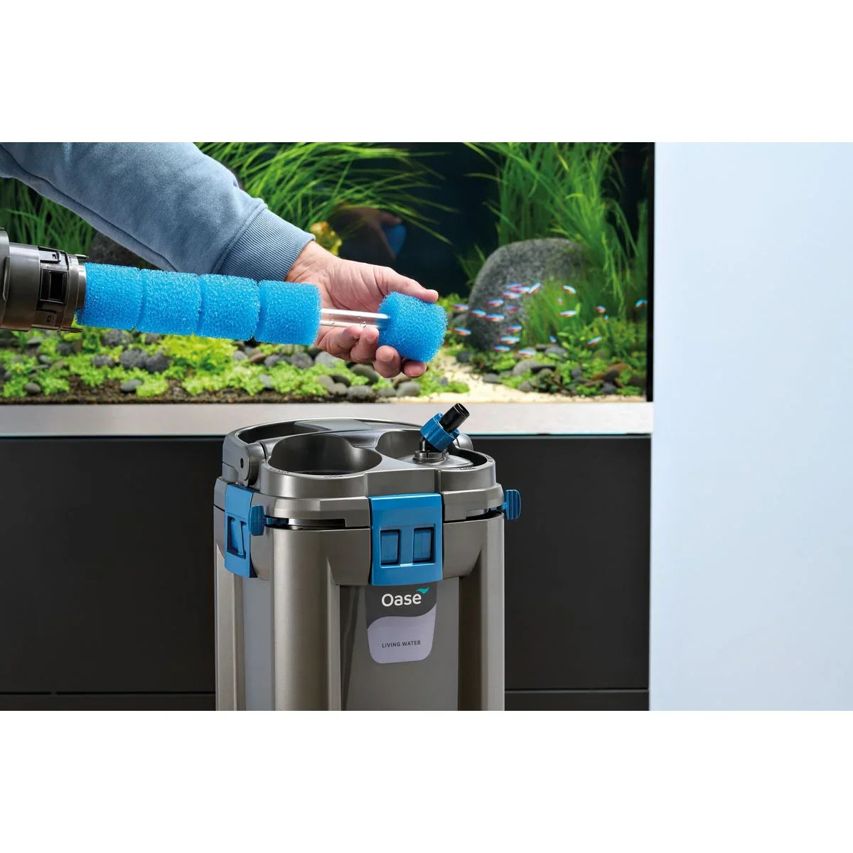 Oase BioMaster² Thermo 250 - Japankoi.net