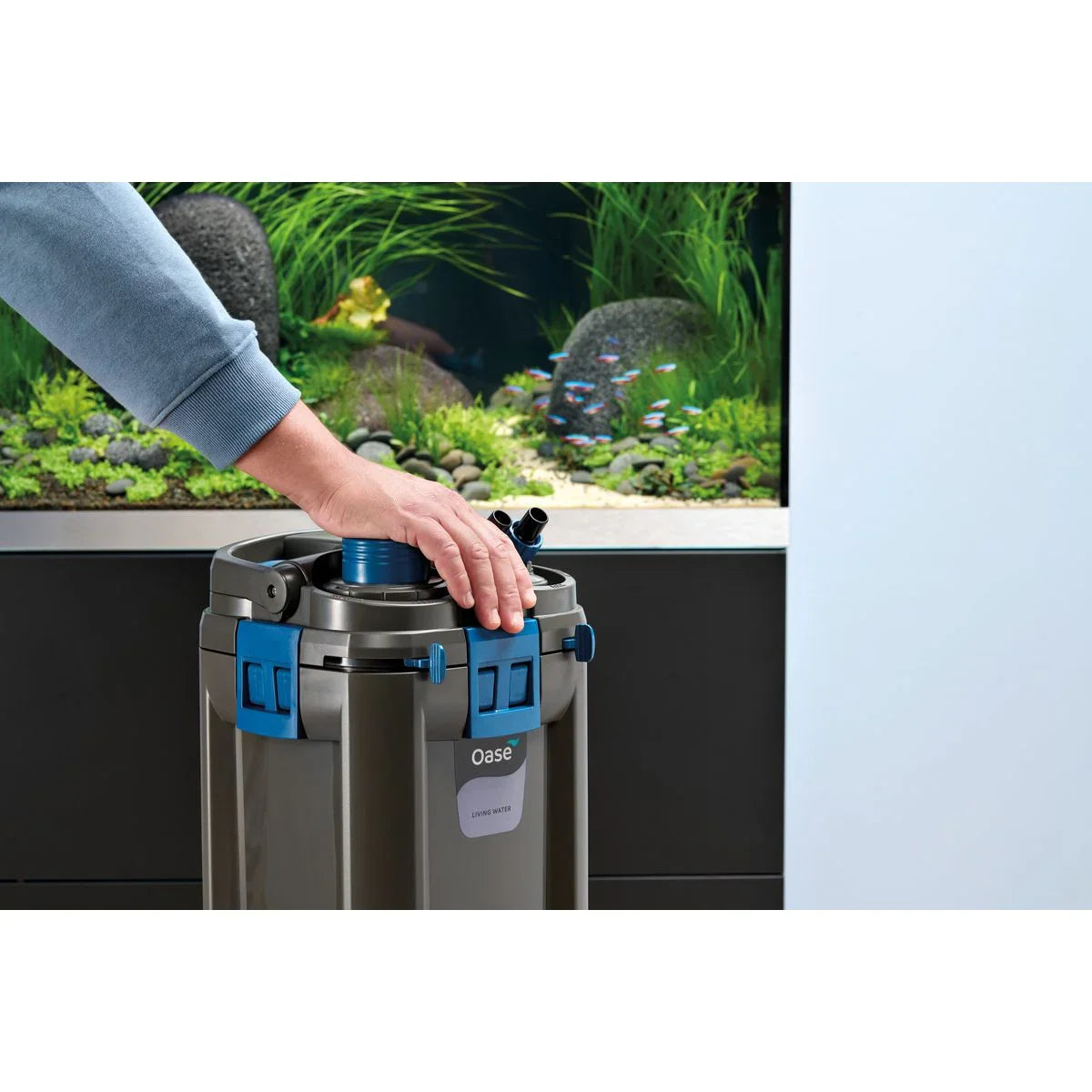 Oase BioMaster² Thermo 250 - Japankoi.net
