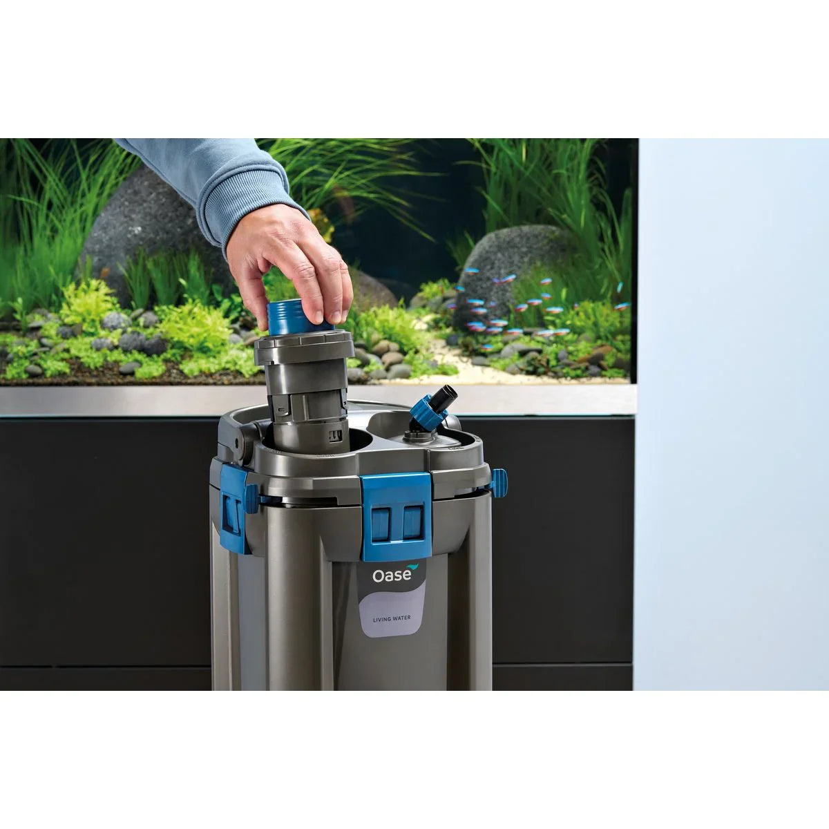 Oase BioMaster² Thermo 250 - Japankoi.net