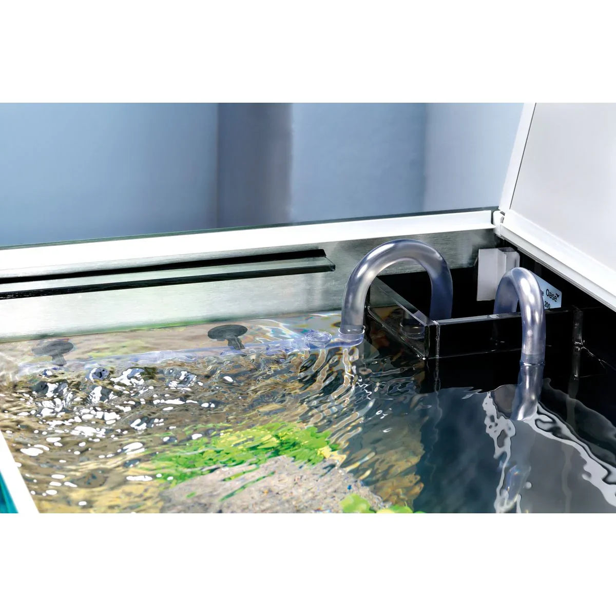 Oase BioMaster² Thermo 350 - Japankoi.net