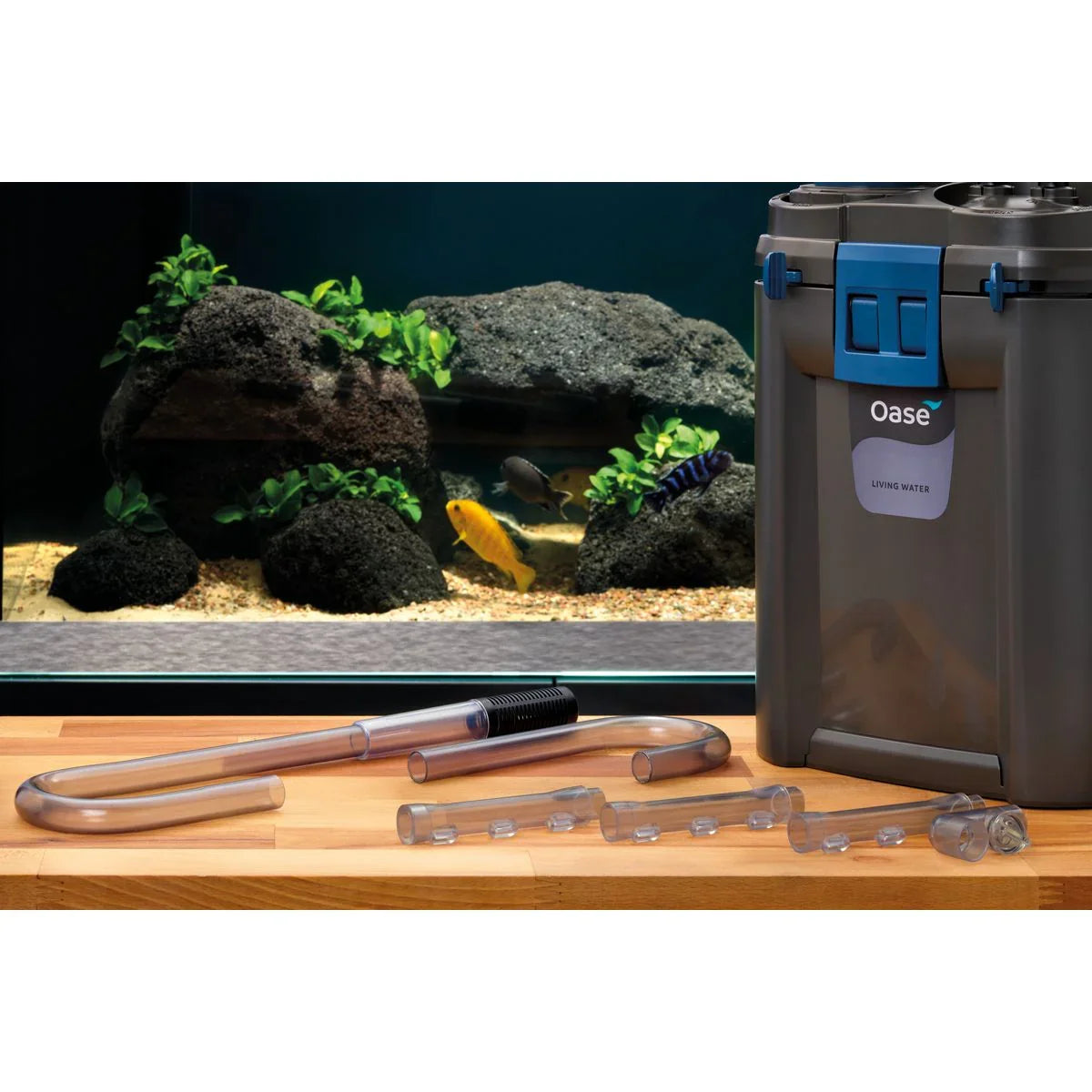 Oase BioMaster² Thermo 350 - Japankoi.net