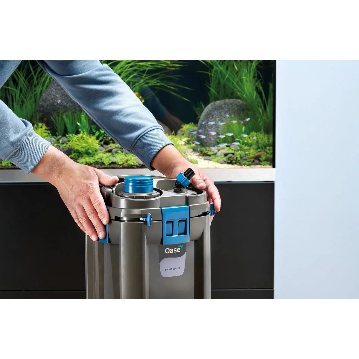 Oase BioMaster² Thermo 600 - Japankoi.net