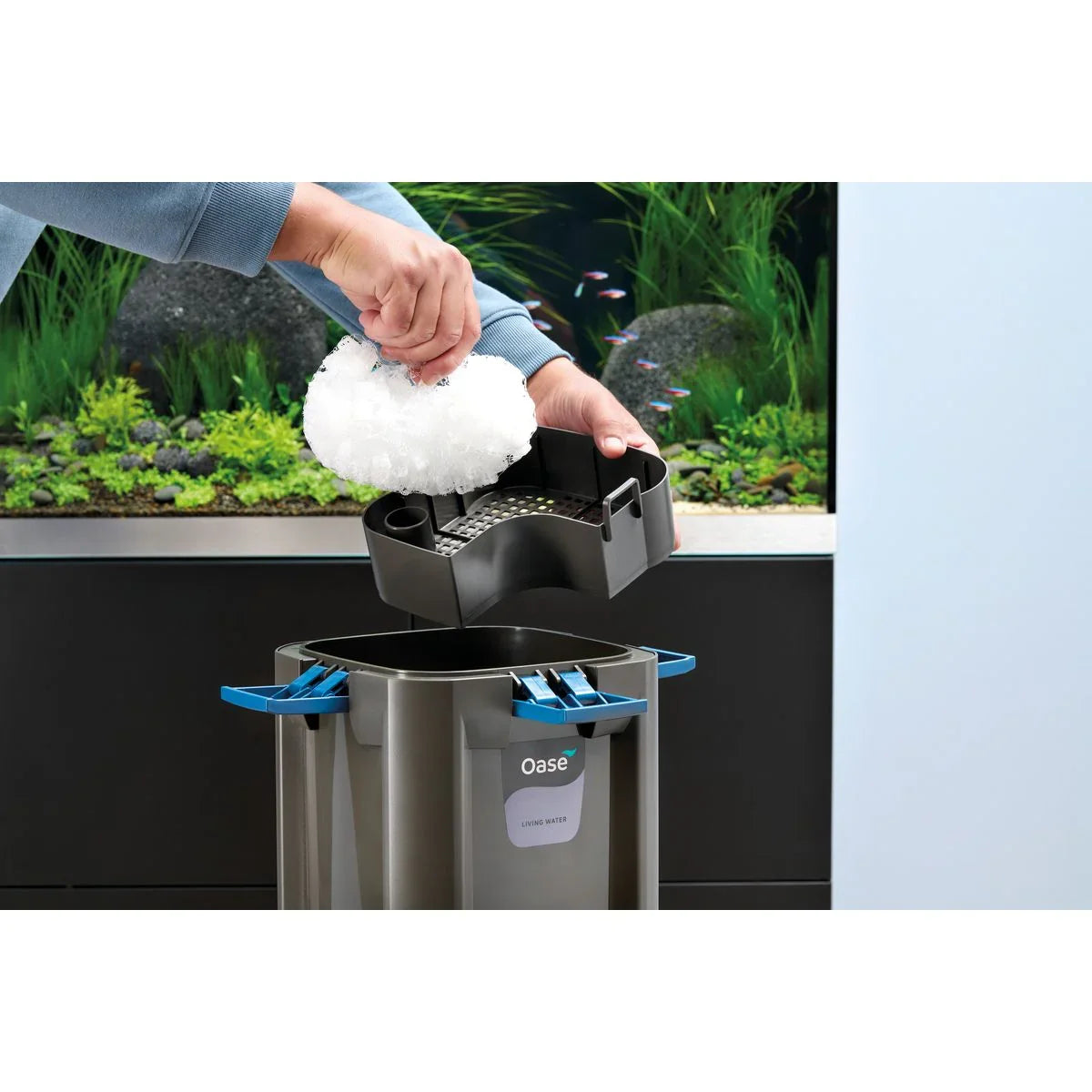 Oase BioMaster² Thermo 600 - Japankoi.net