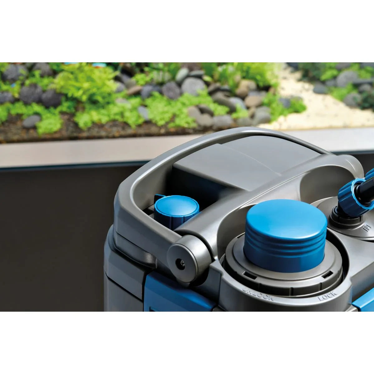 Oase BioMaster² Thermo 600 - Japankoi.net