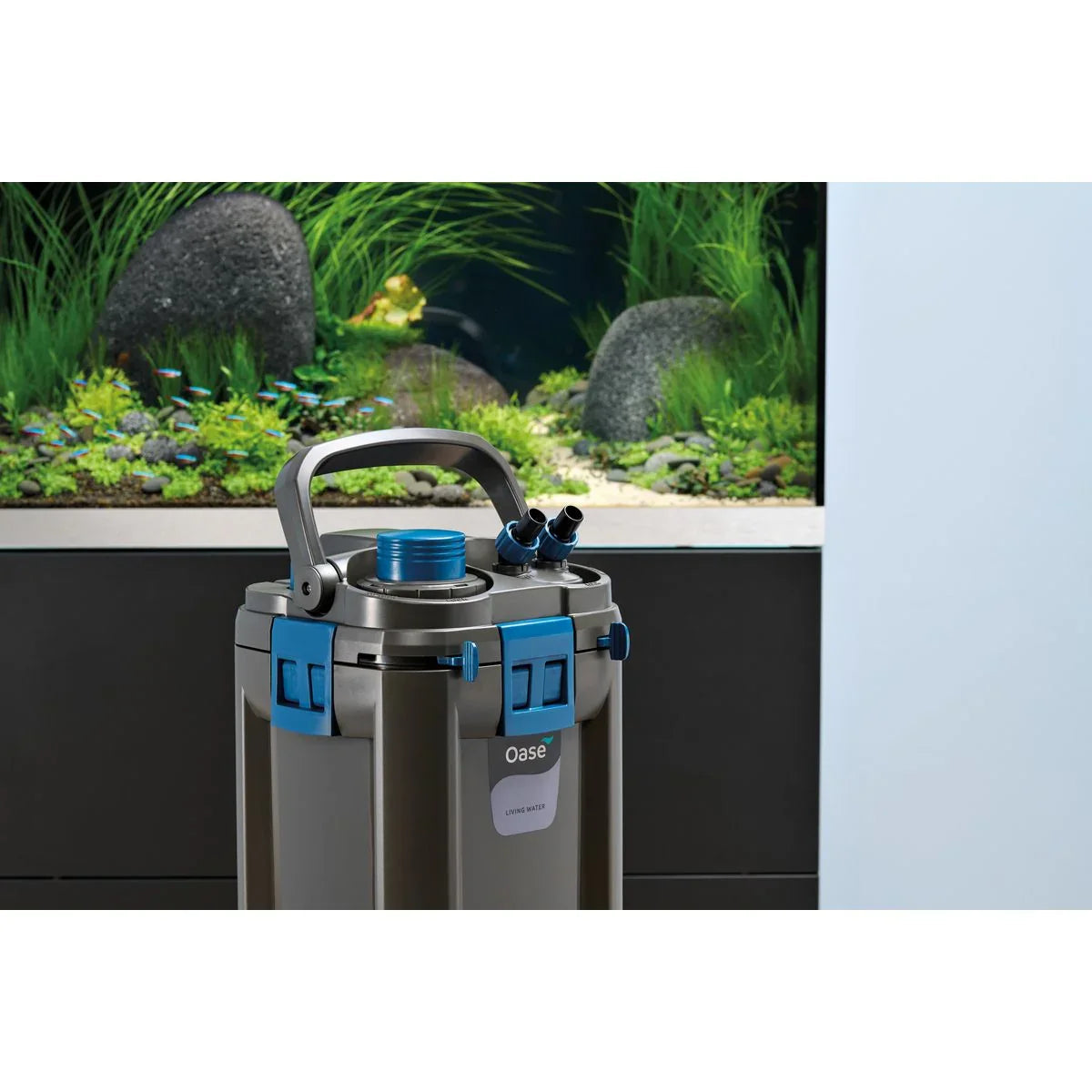 Oase BioMaster² Thermo 600 - Japankoi.net