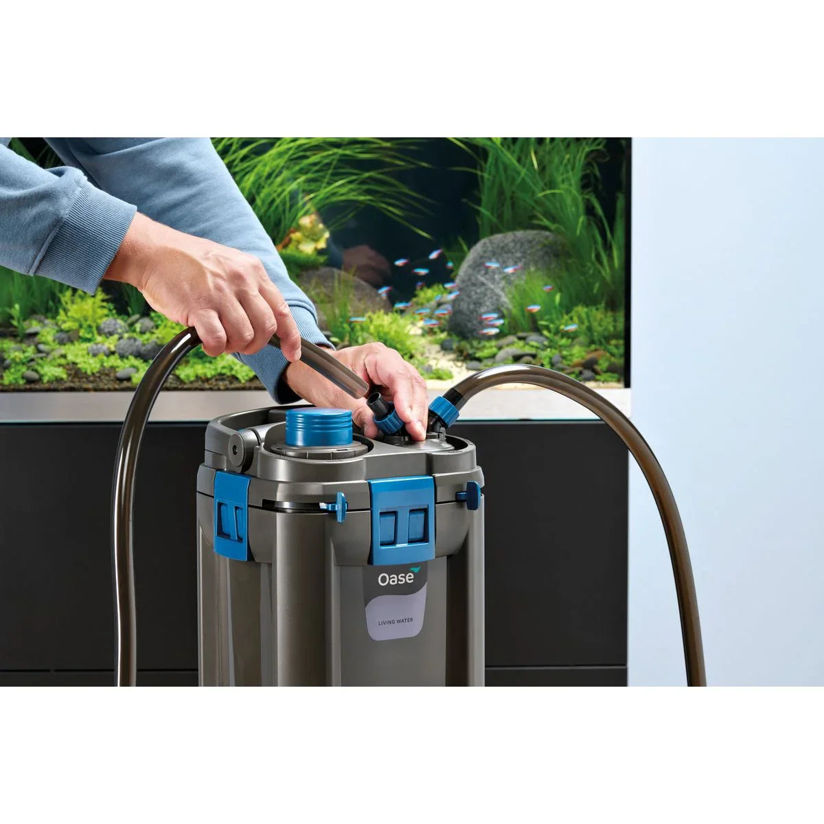 Oase BioMaster² Thermo 600 - Japankoi.net