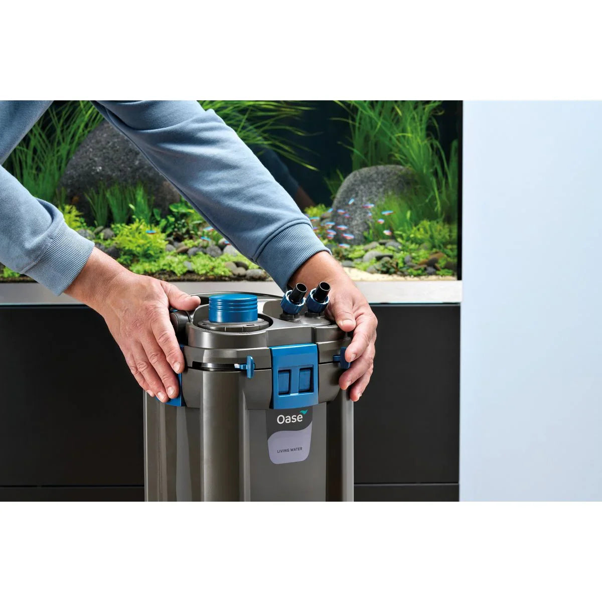 Oase BioMaster² Thermo 600 - Japankoi.net