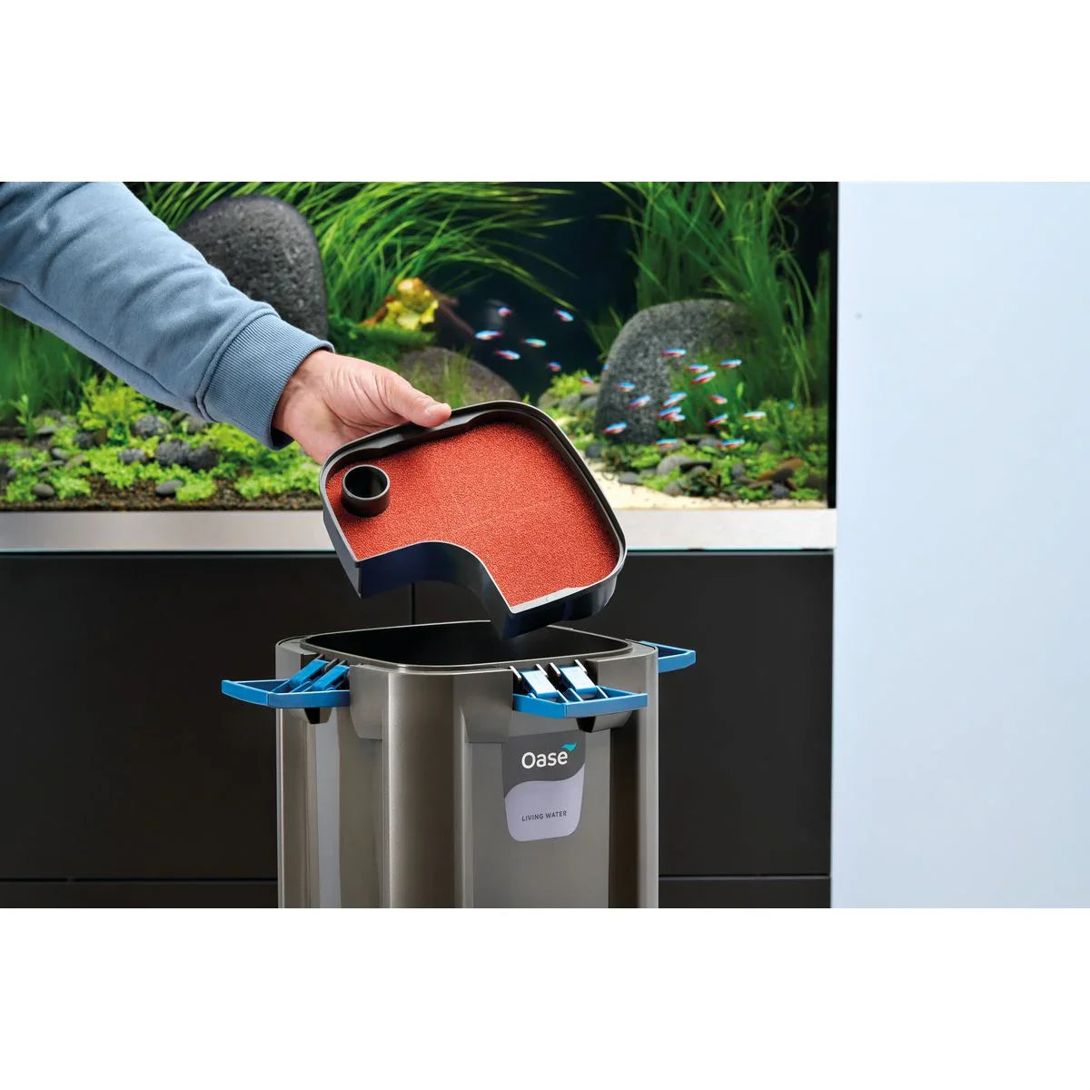 Oase BioMaster² Thermo 600 - Japankoi.net