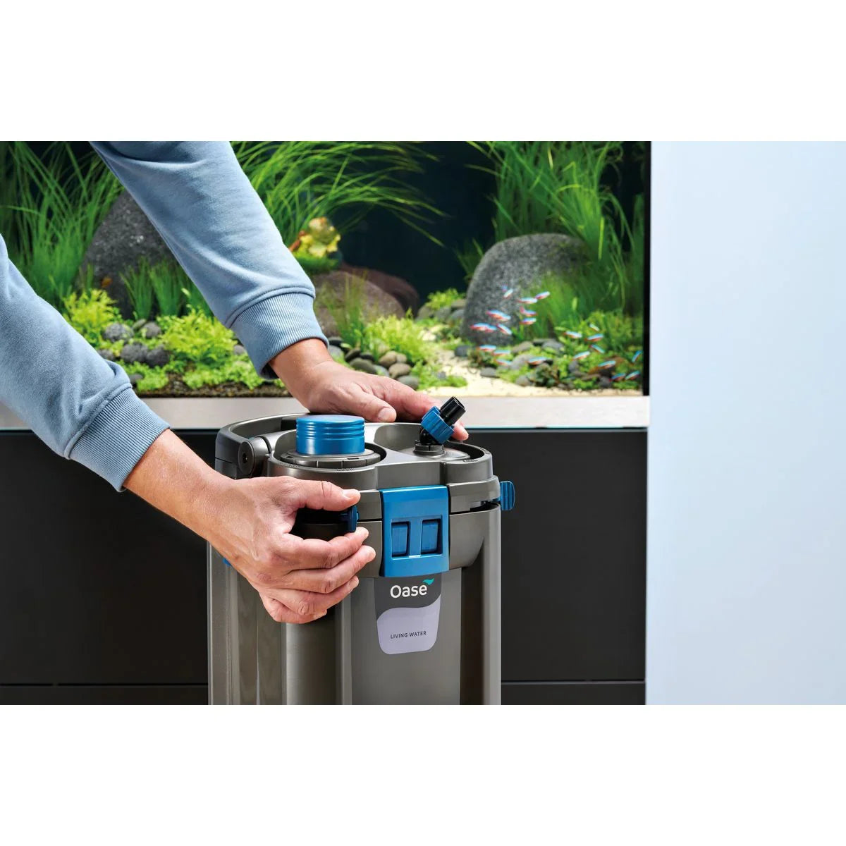 Oase BioMaster² Thermo 600 - Japankoi.net