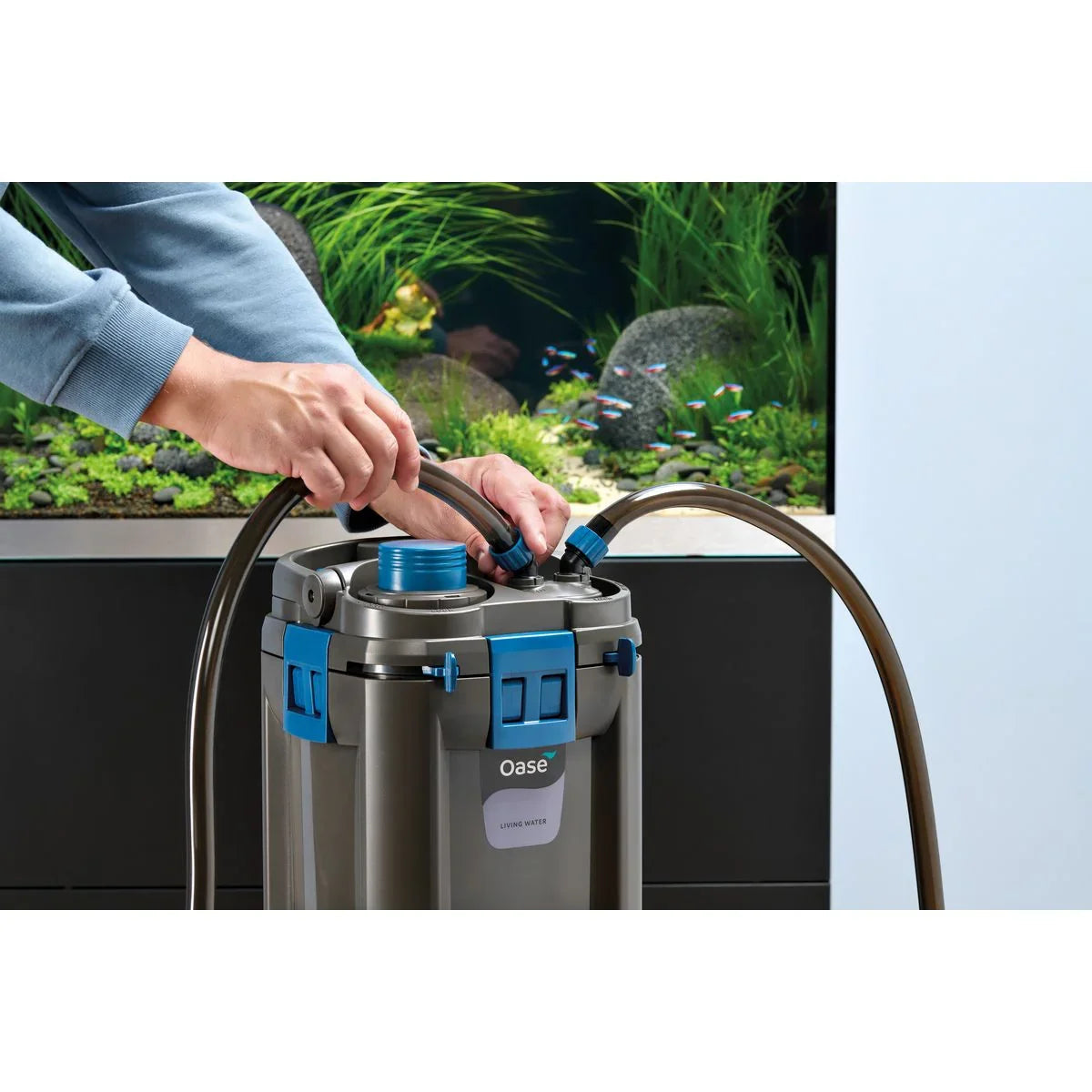 Oase BioMaster² Thermo 600 - Japankoi.net