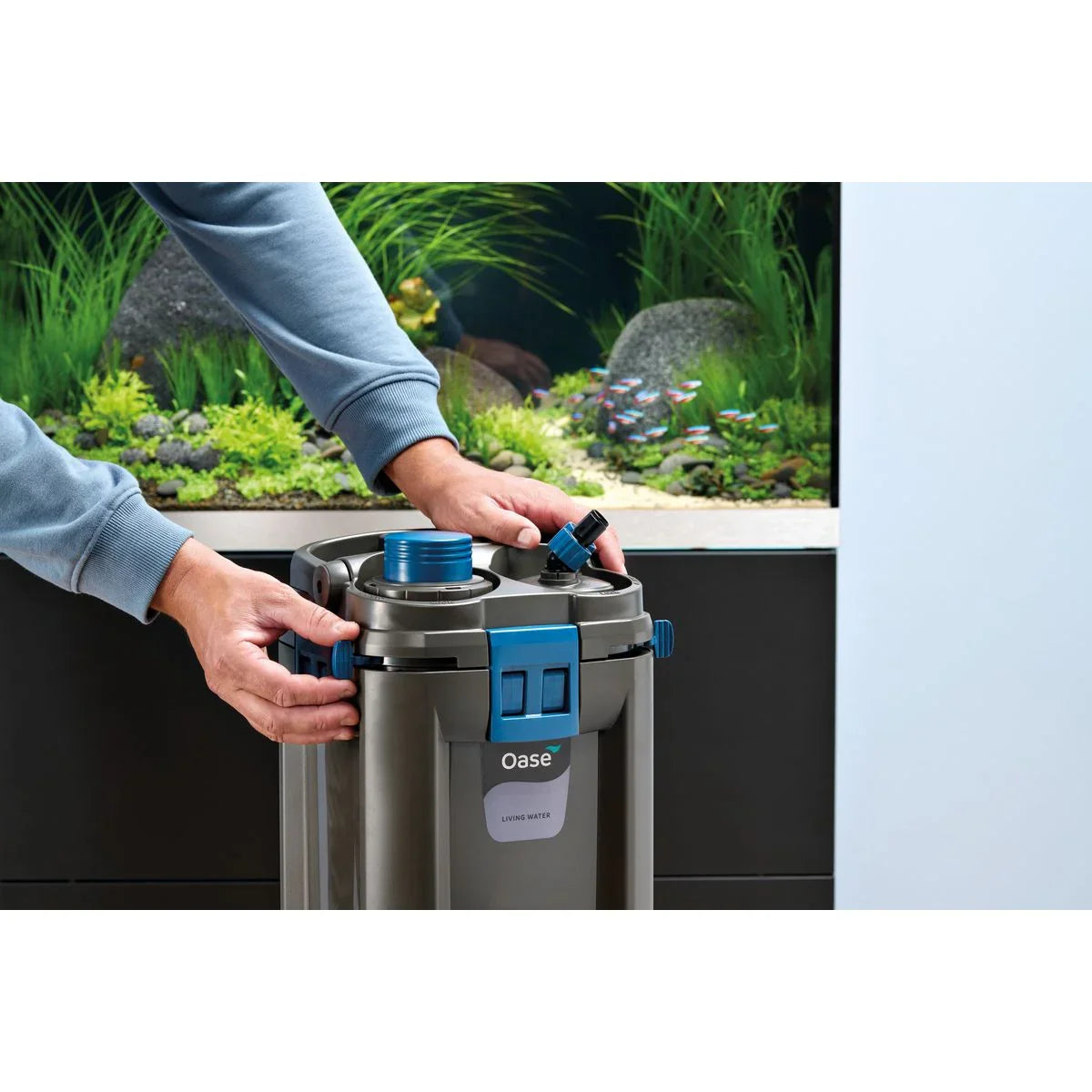 Oase BioMaster² Thermo 600 - Japankoi.net