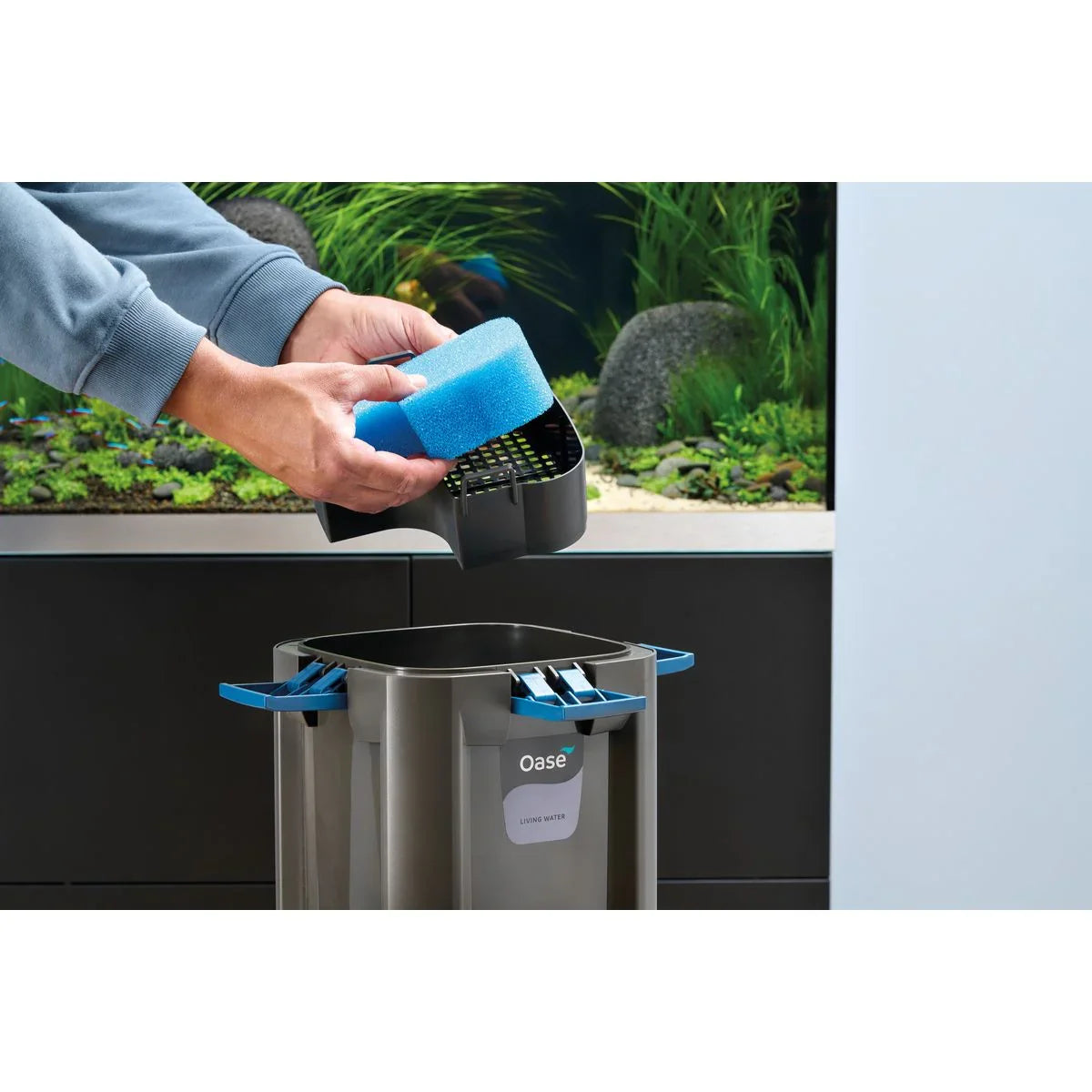 Oase BioMaster² Thermo 600 - Japankoi.net
