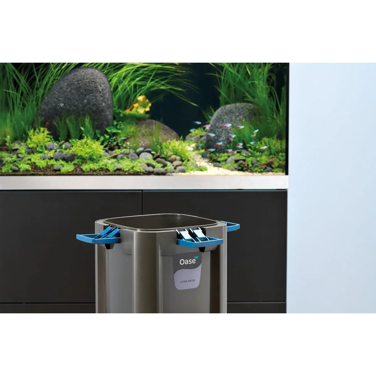 Oase BioMaster² Thermo 600 - Japankoi.net