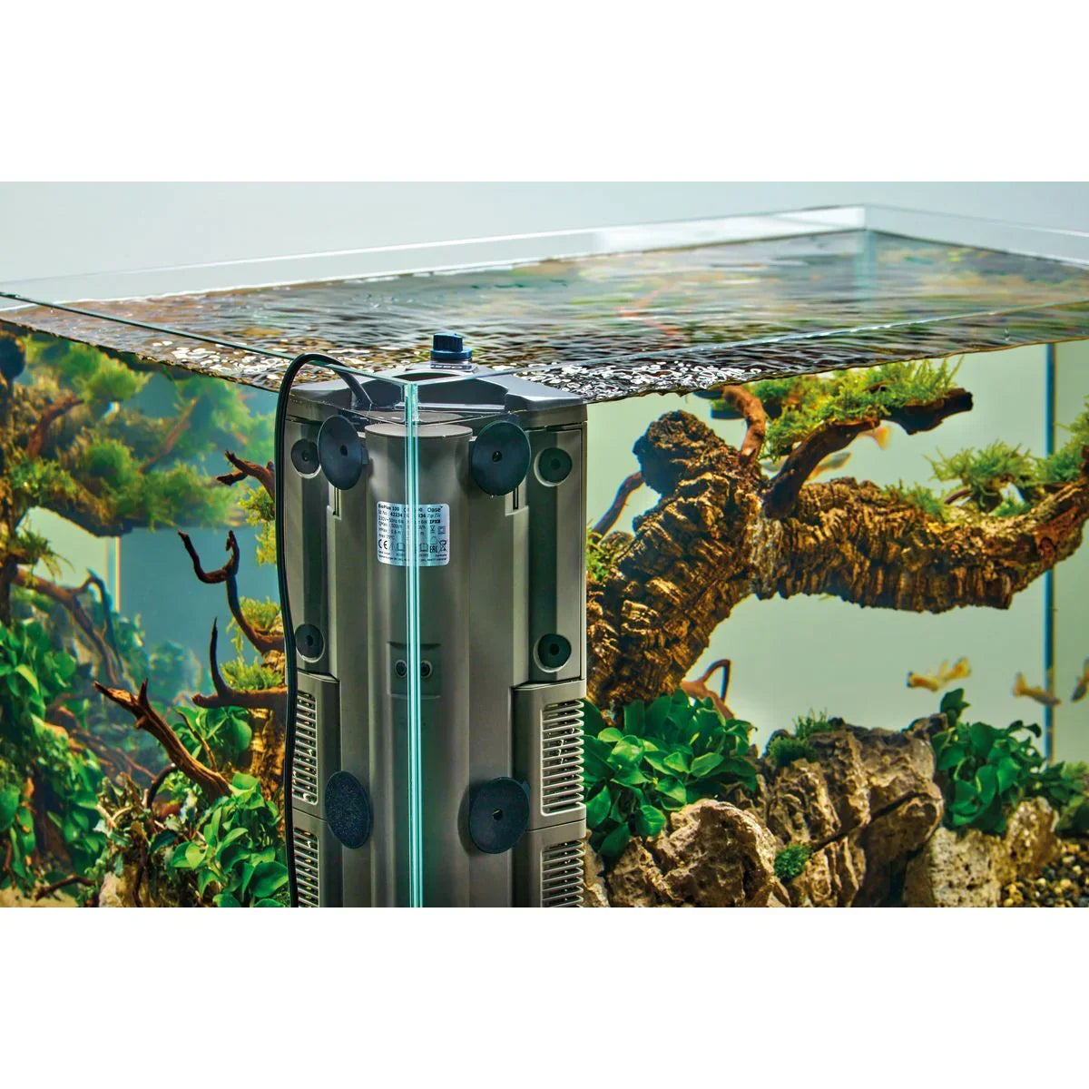 Oase BioPlus 100 - Japankoi.net