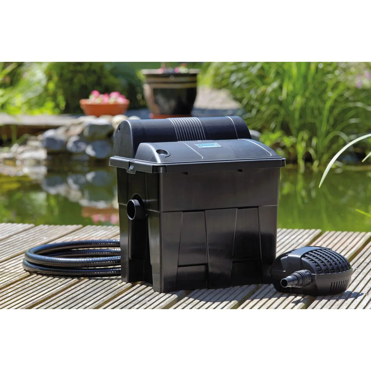Oase BioSmart Set 7000 - Japankoi.net