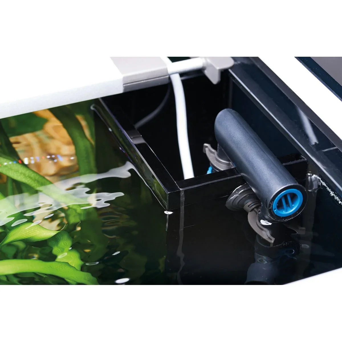 Oase HighLine Raumteiler Weißglas 300 schwarz - Japankoi.net