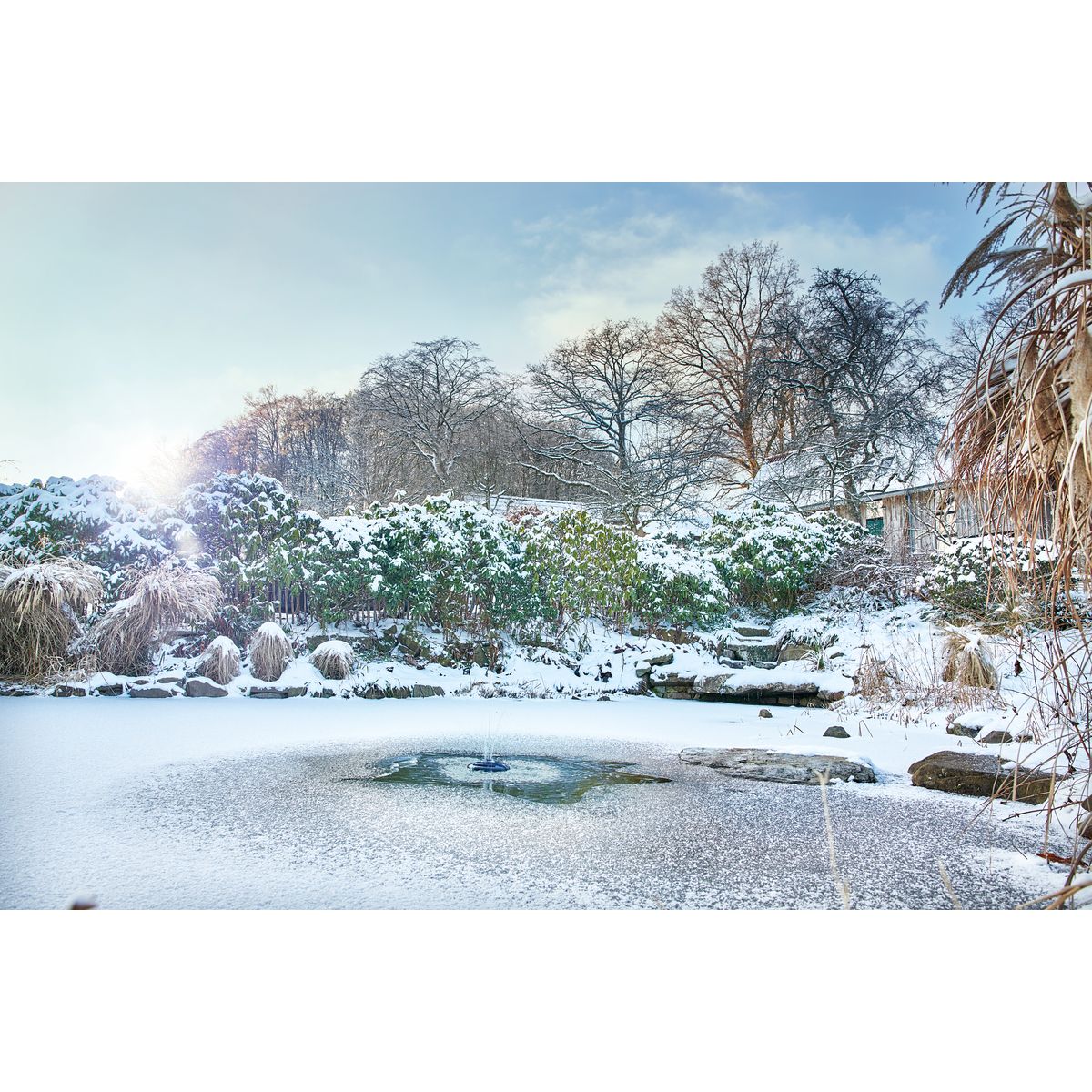 Oase IceFree 4 Seasons - Japankoi.net