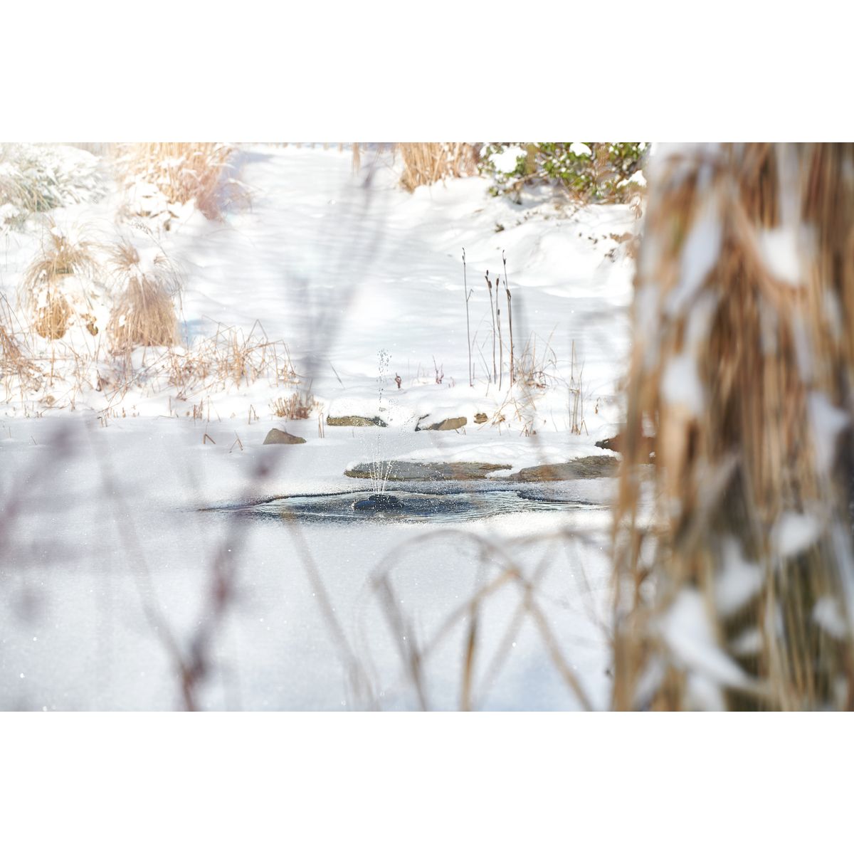 Oase IceFree 4 Seasons - Japankoi.net