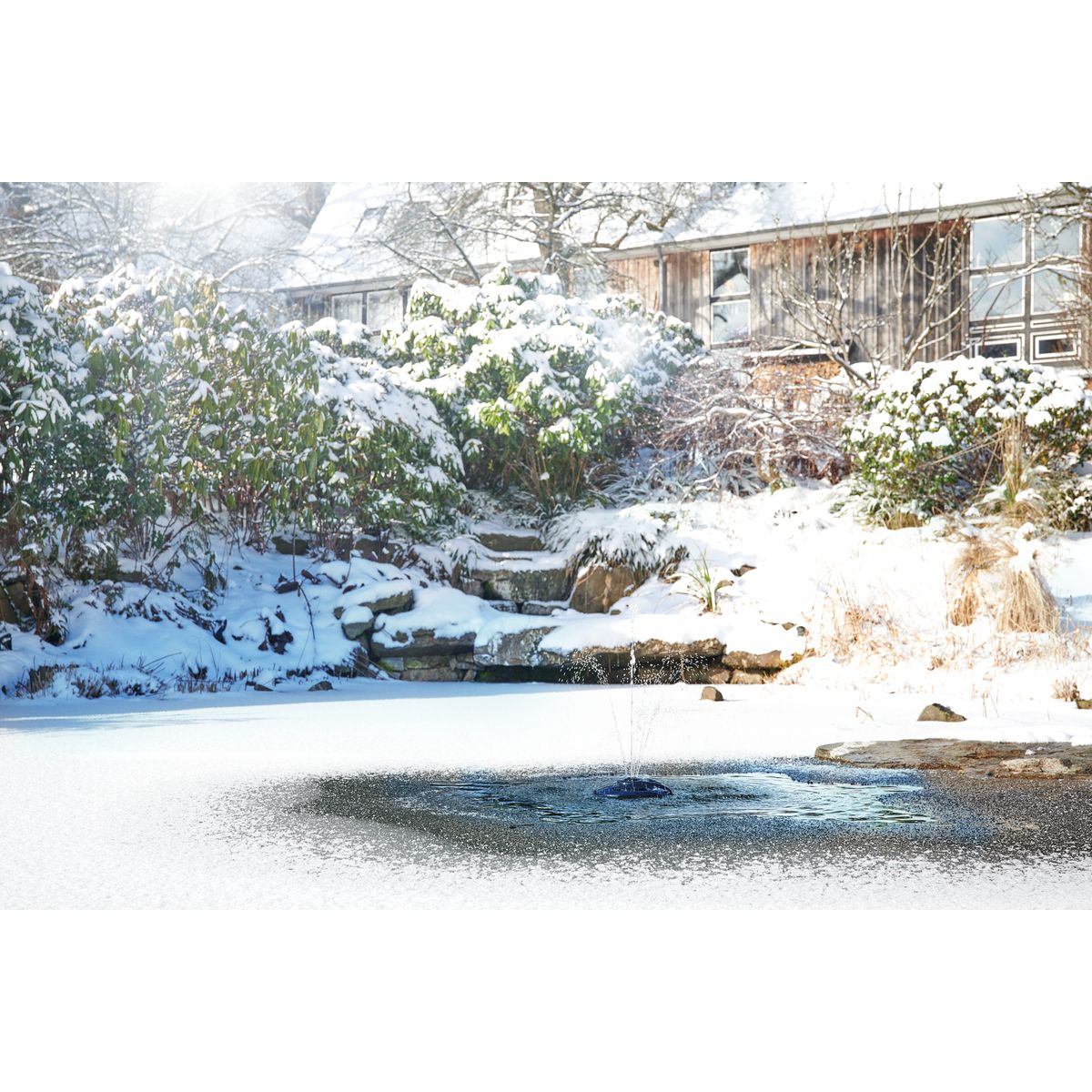 Oase IceFree 4 Seasons - Japankoi.net