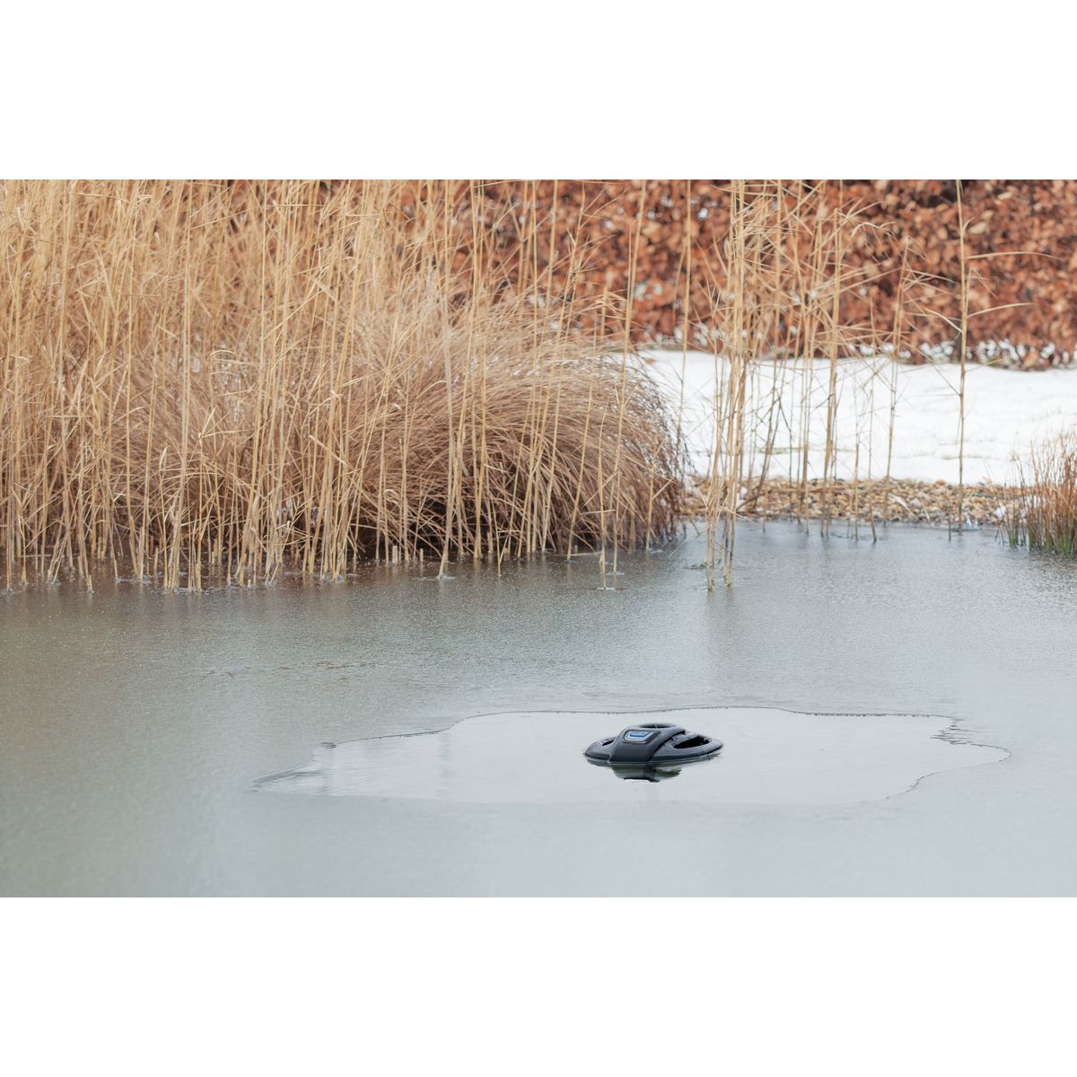 Oase IceFree 4 Seasons - Japankoi.net