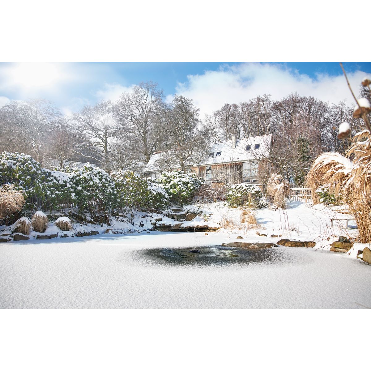 Oase IceFree 4 Seasons - Japankoi.net