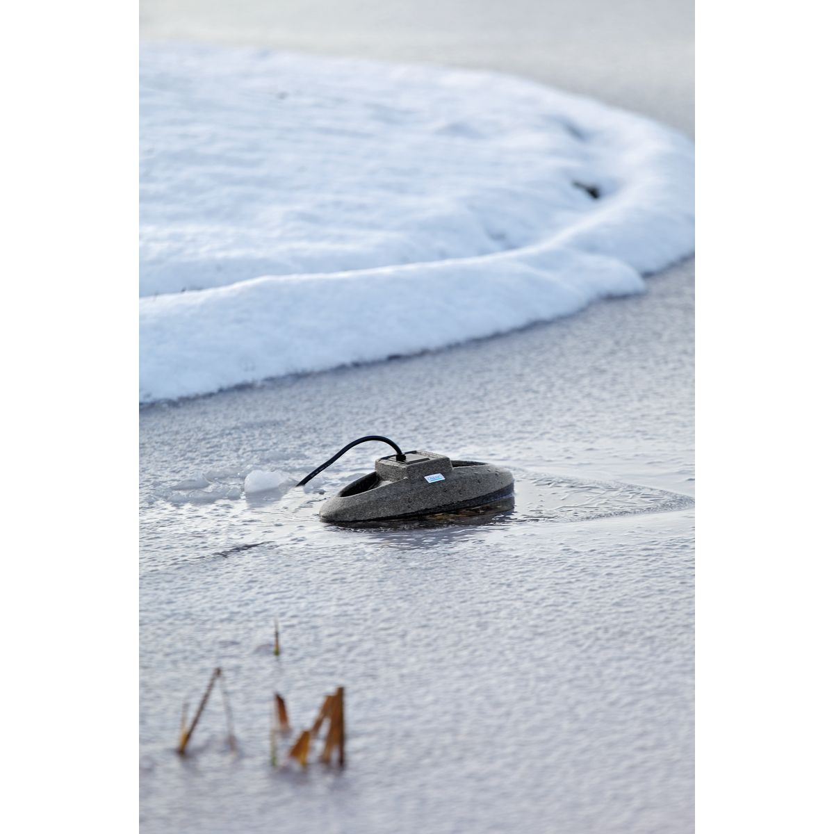 Oase IceFree Thermo 330 - Japankoi.net