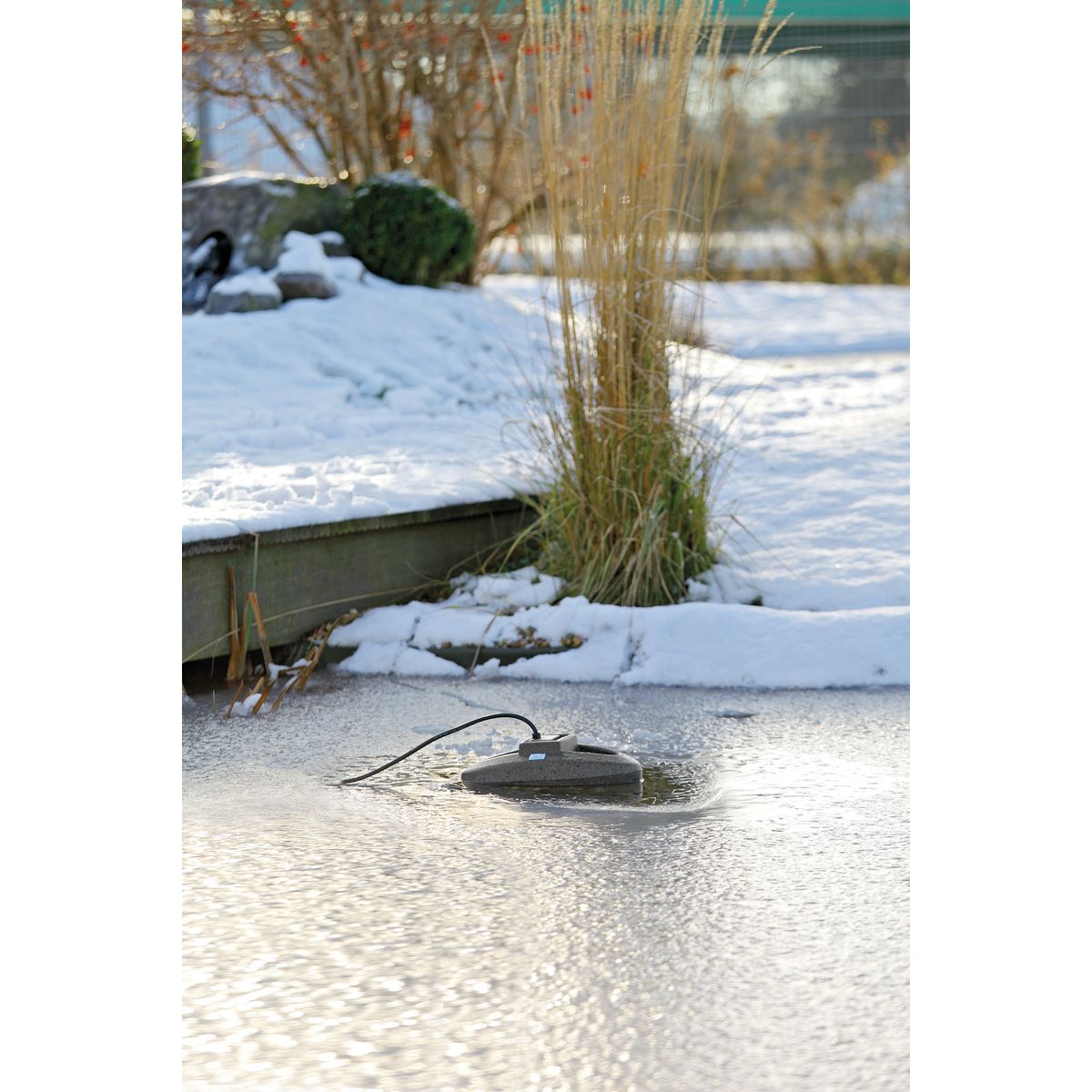 Oase IceFree Thermo 330 - Japankoi.net