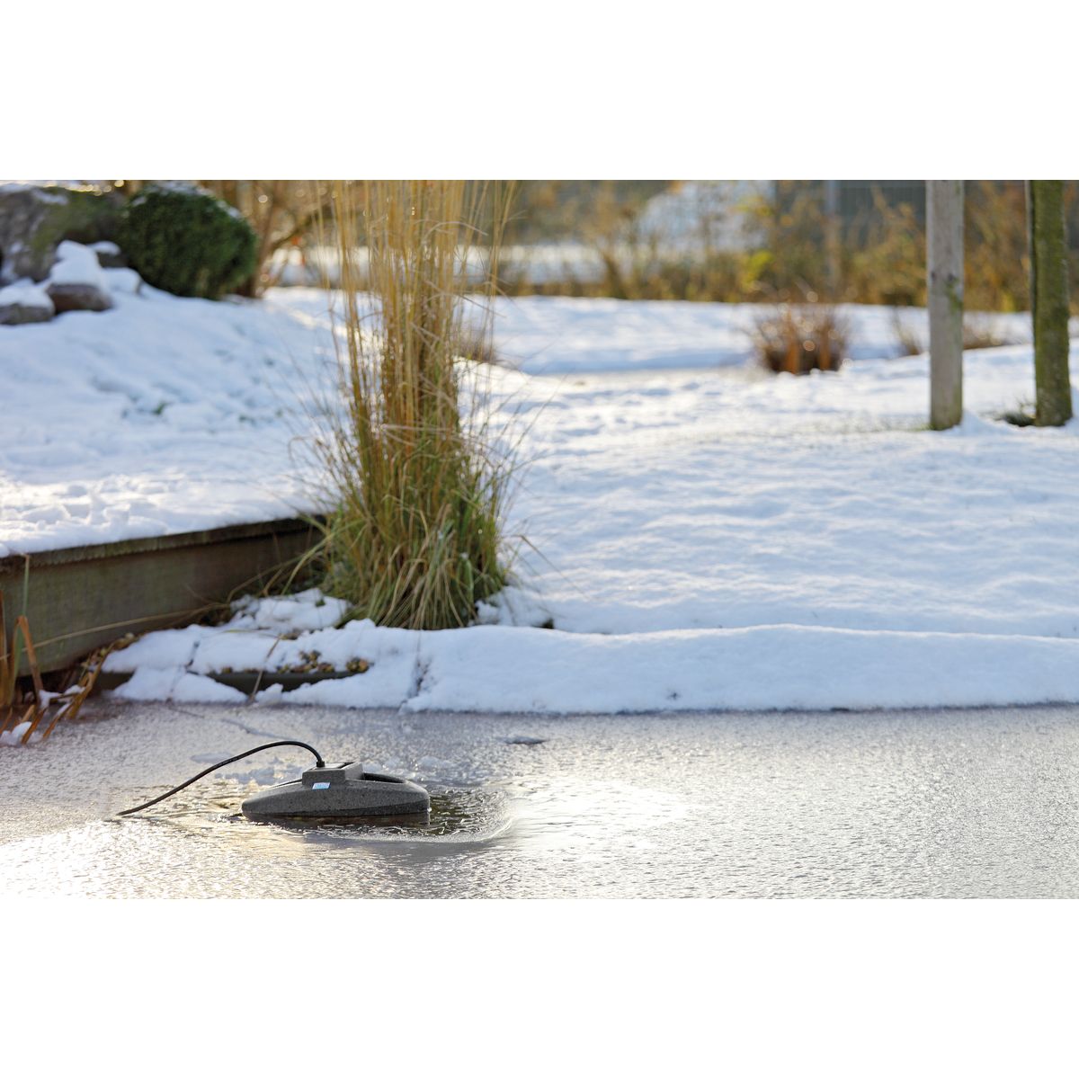 Oase IceFree Thermo 330 - Japankoi.net