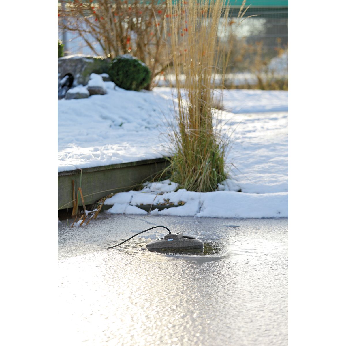 Oase IceFree Thermo 330 - Japankoi.net