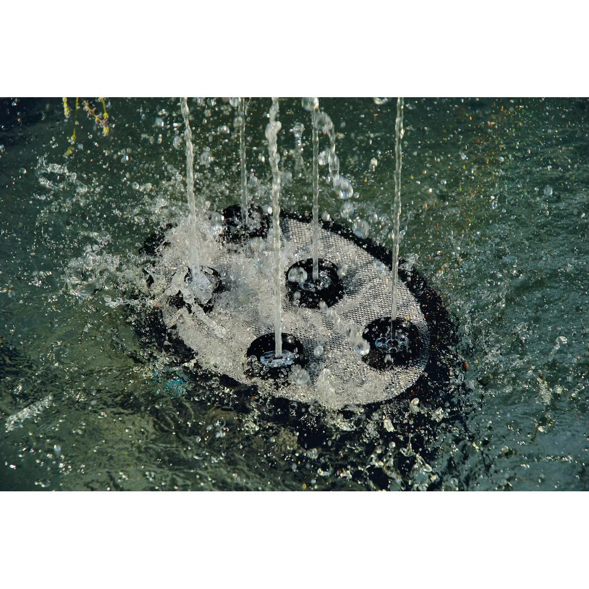 Oase Water Quintet - Japankoi.net