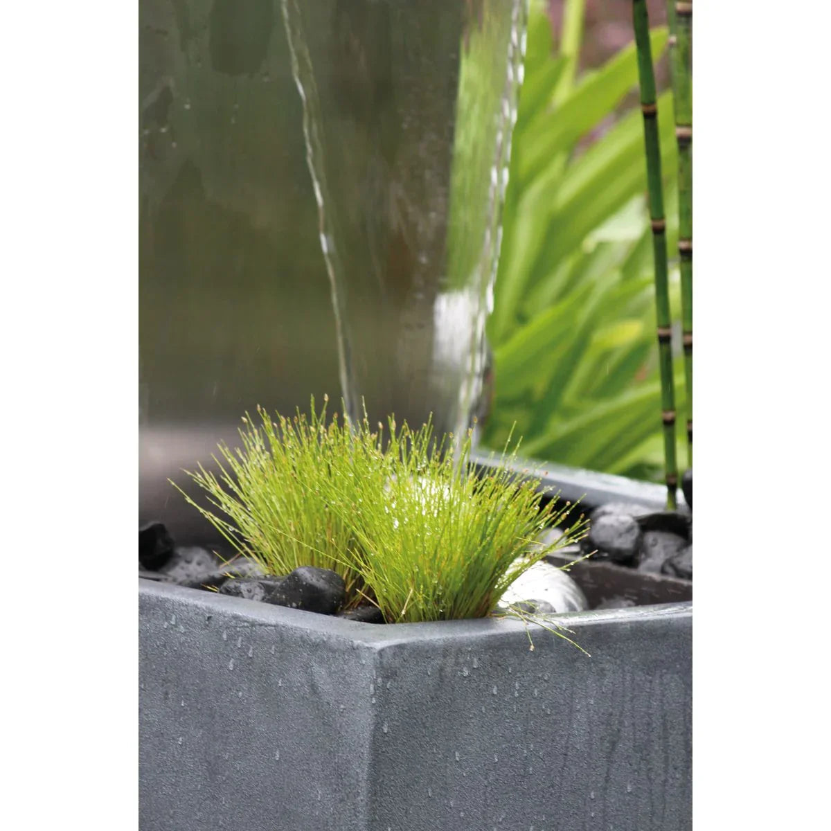 Oase Waterfall Kit 30 - Japankoi.net