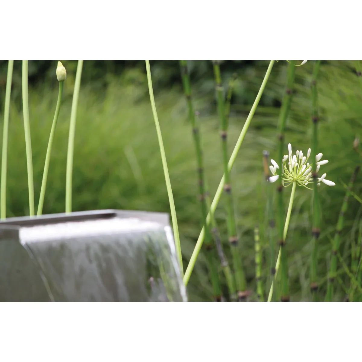 Oase Waterfall Kit 30 - Japankoi.net