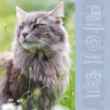 Ohrmilbenöl für Katzen