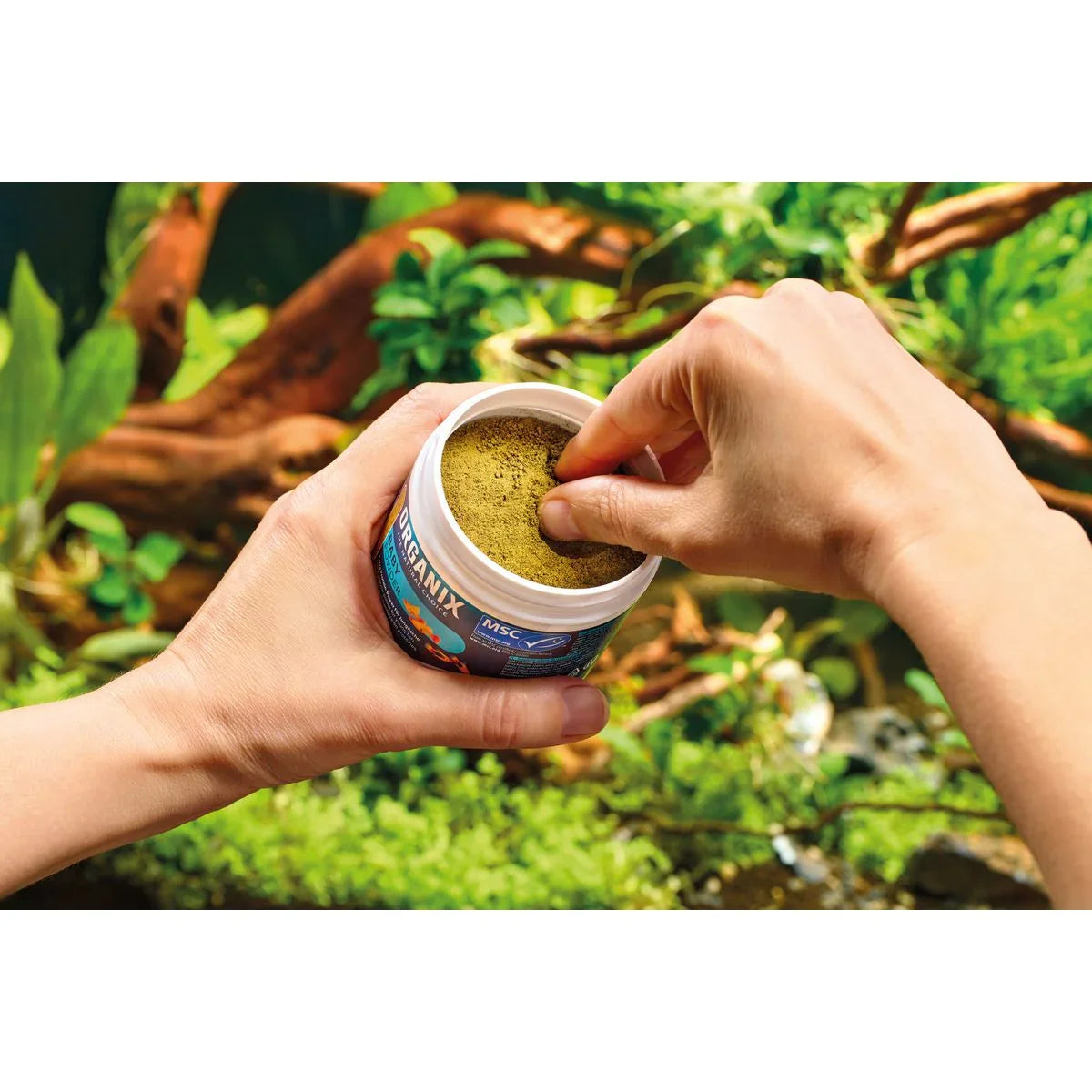ORGANIX Baby Powder 175 ml MSC - Japankoi.net