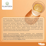 Bio Kurkuma Extrakt Kapseln