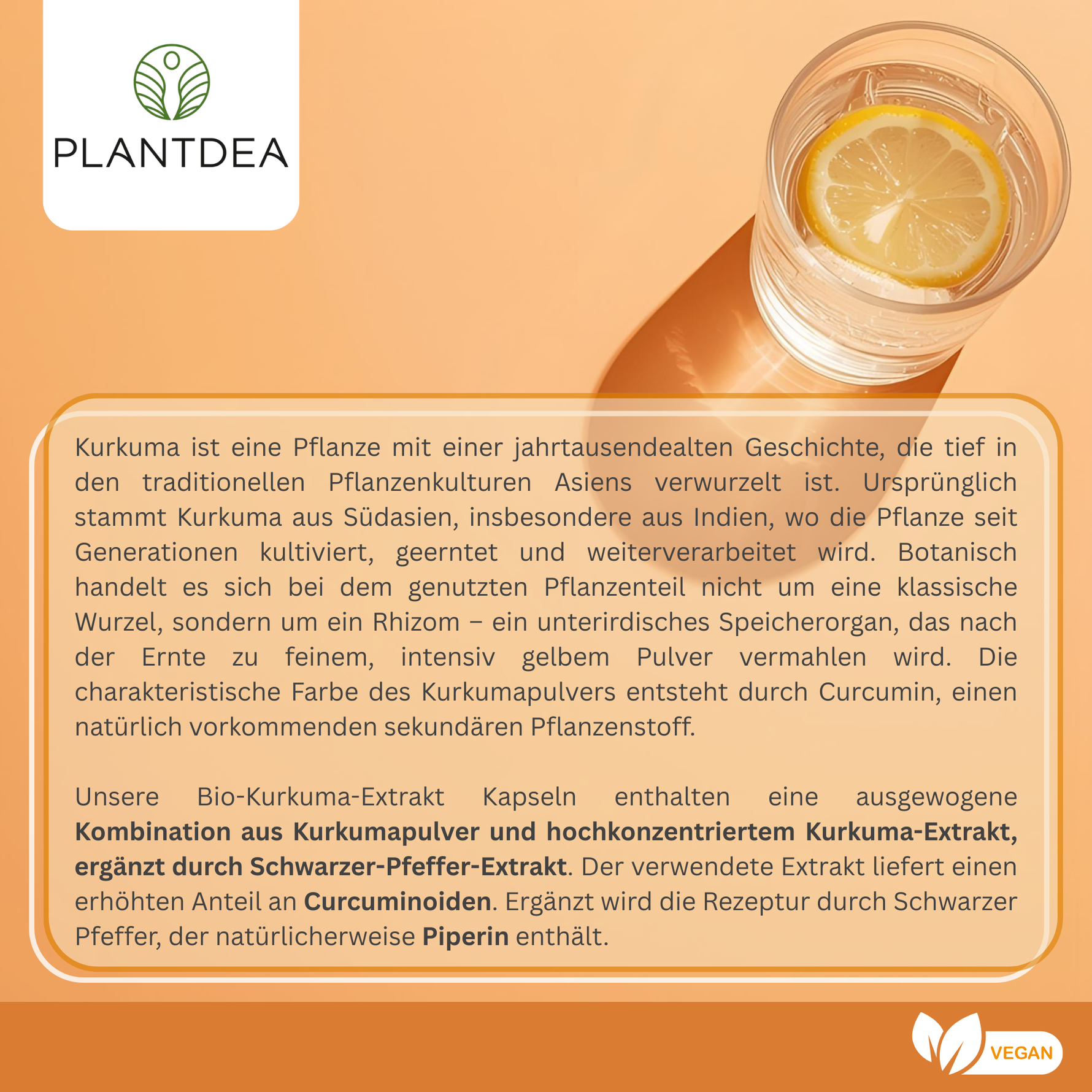 Bio Kurkuma Extrakt Kapseln