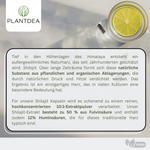 Shilajit Extrakt Kapseln