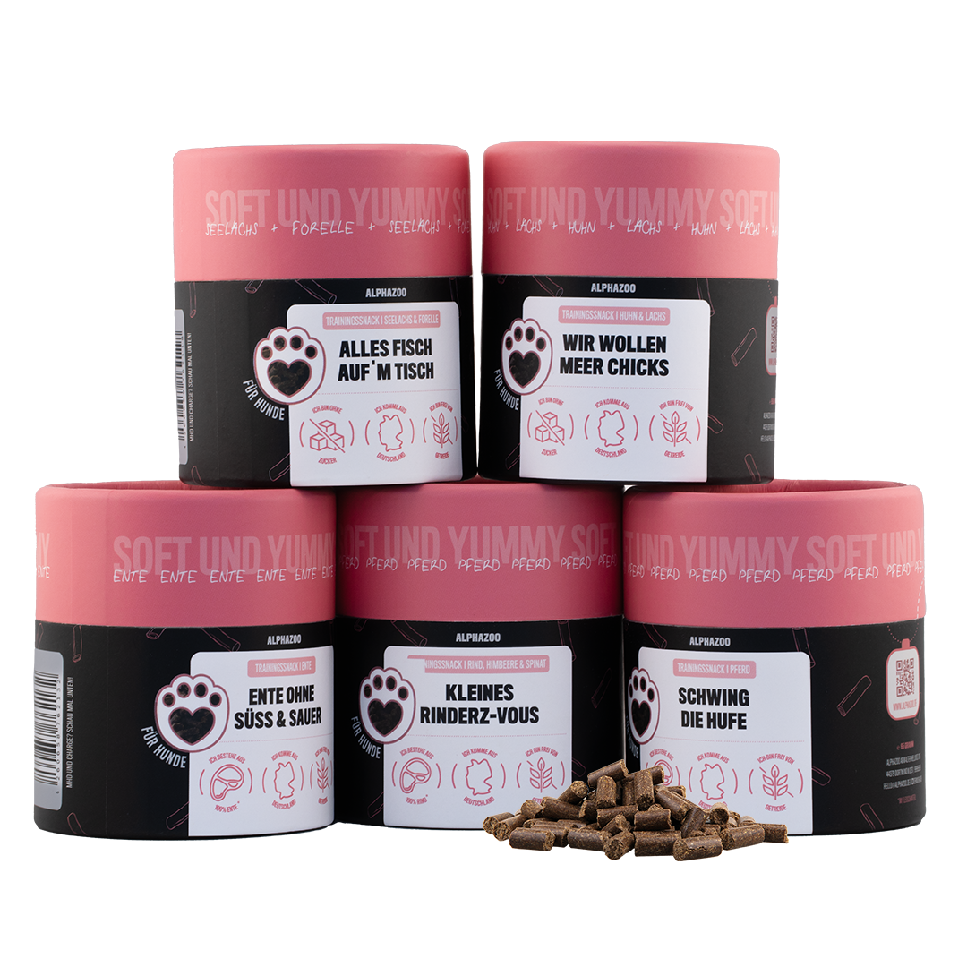 Probierset Leckerli Hund mit fünf unterschiedlichen Leckerlis für Hunde in bunten Dosen, abwechslungsreiche Snacks.