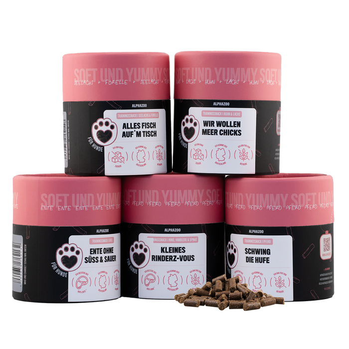 Probierset Leckerli Hund mit fünf unterschiedlichen Leckerlis für Hunde in bunten Dosen, abwechslungsreiche Snacks.