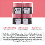 Probierset Leckerli Katze