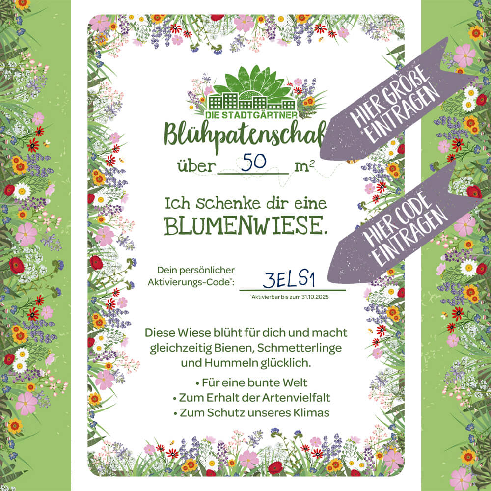 Patenschaft für 10 m² Blumenwiese zum Ausdrucken