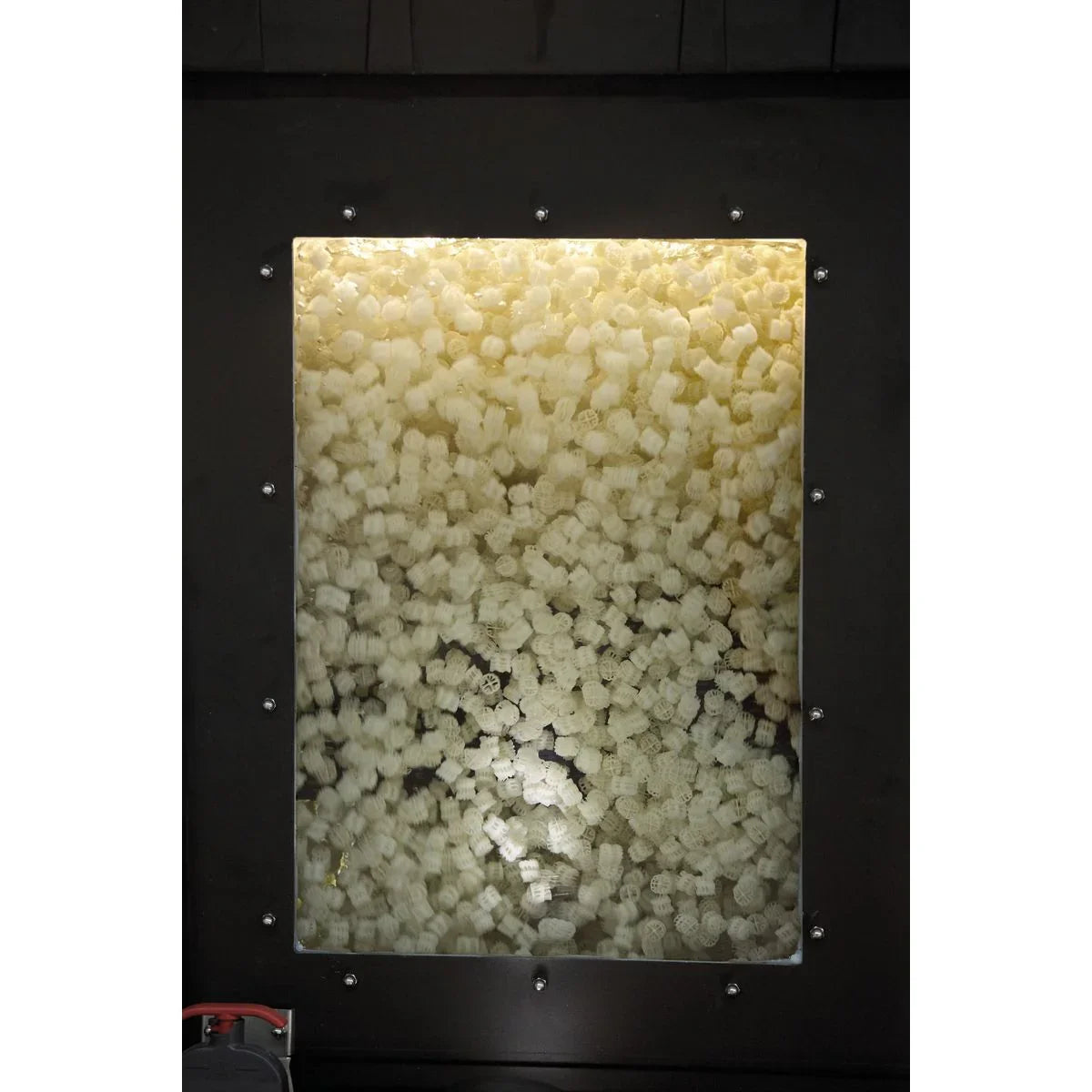 ProfiClear Premium Moving Bed Modul - Japankoi.net